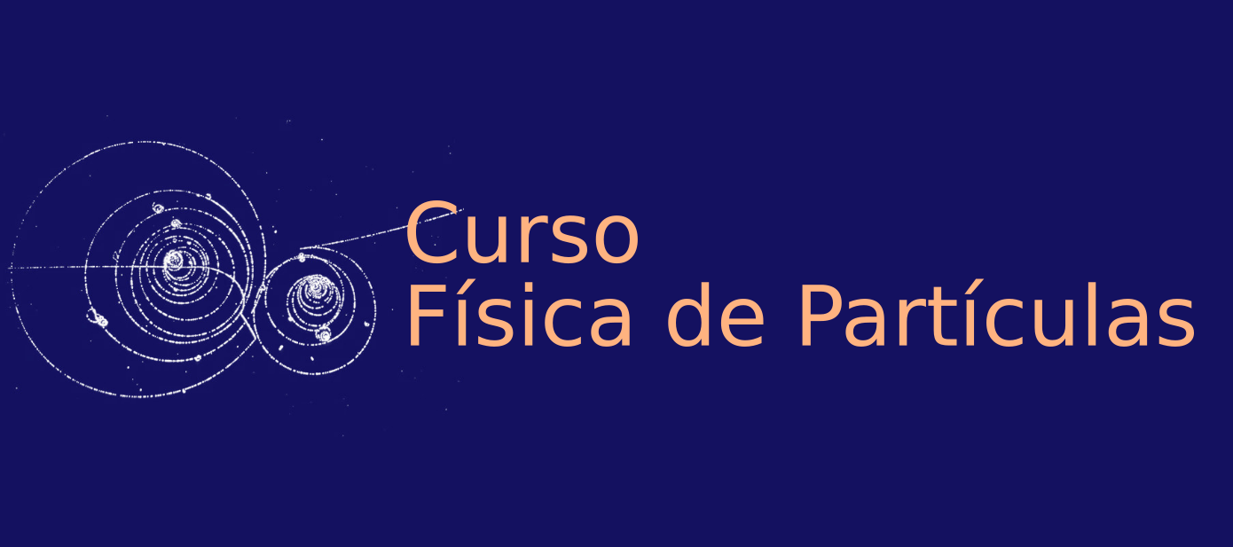 Curso de Física de Partículas